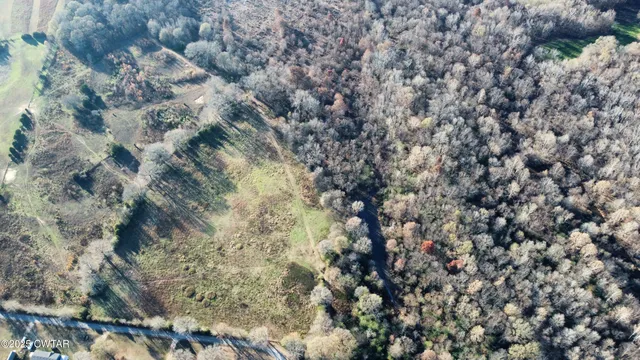 a view of a dry yard