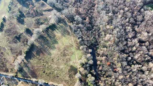 a view of a forest with a lake