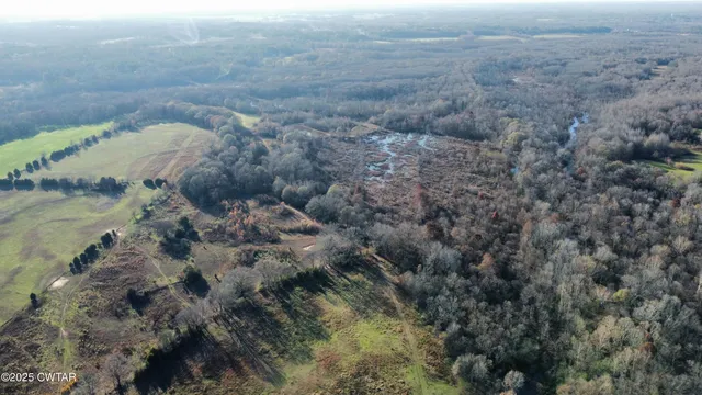 a view of a dry yard with green space