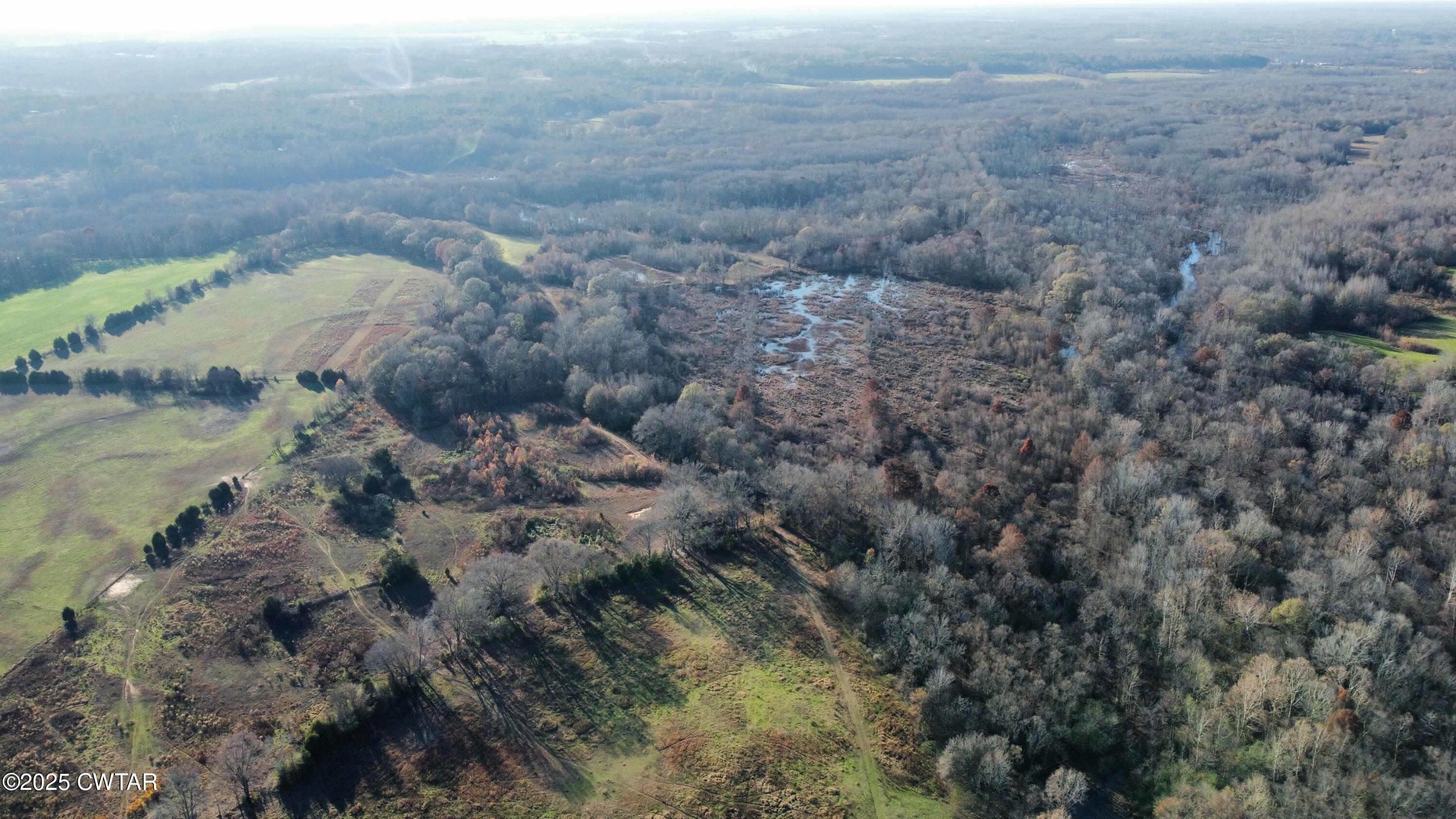 0 Terry Lane Henderson, TN 38340 - Photo 6 of 9 a view of a forest with a lake