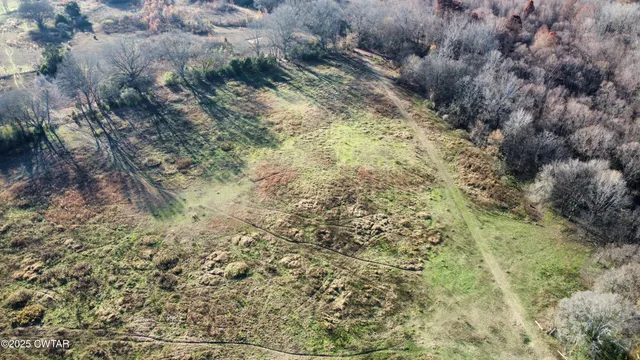 a view of a dry yard with green space