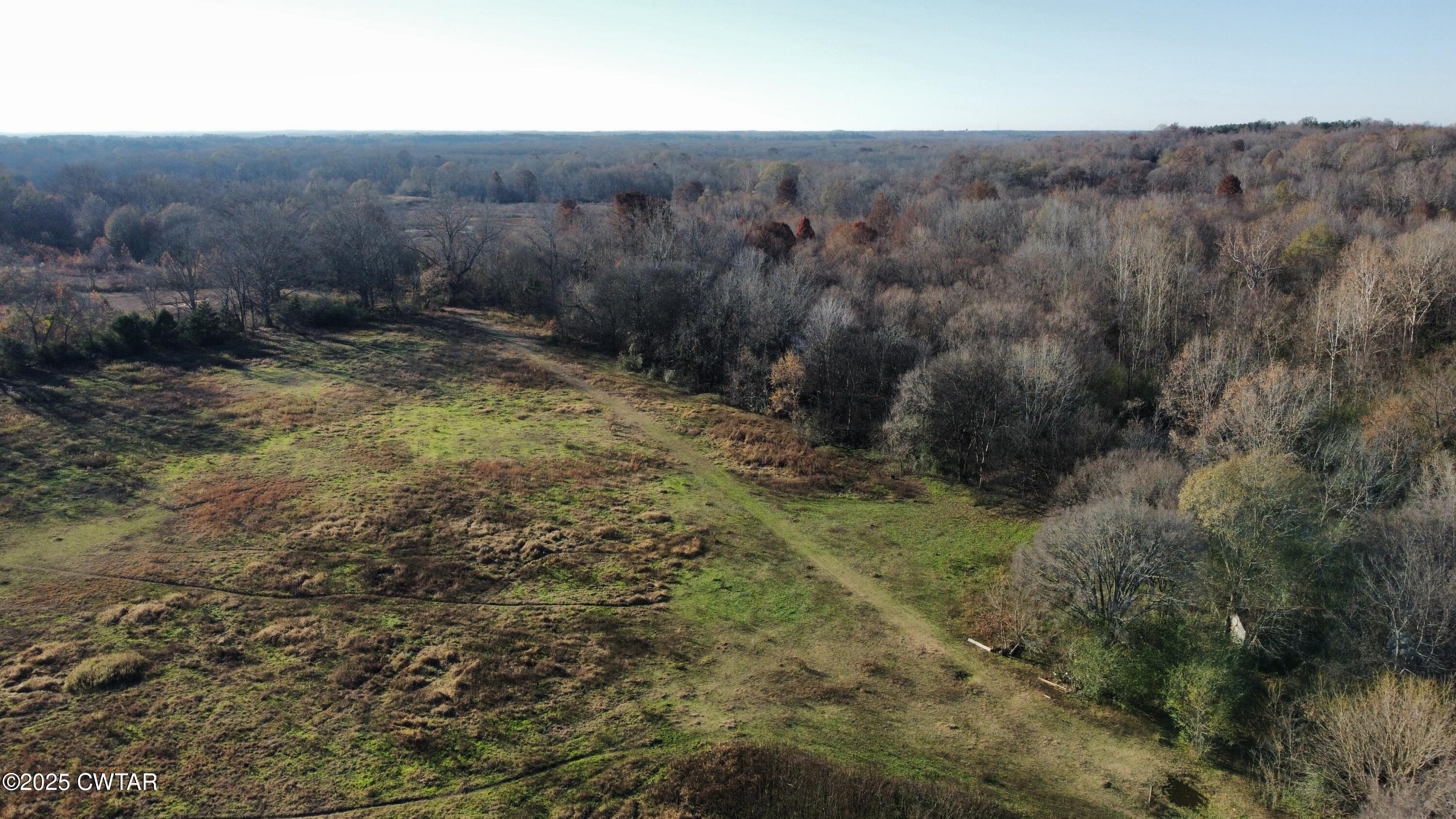 0 Terry Lane Henderson, TN 38340 - Photo 8 of 9 a view of a dry yard with green space