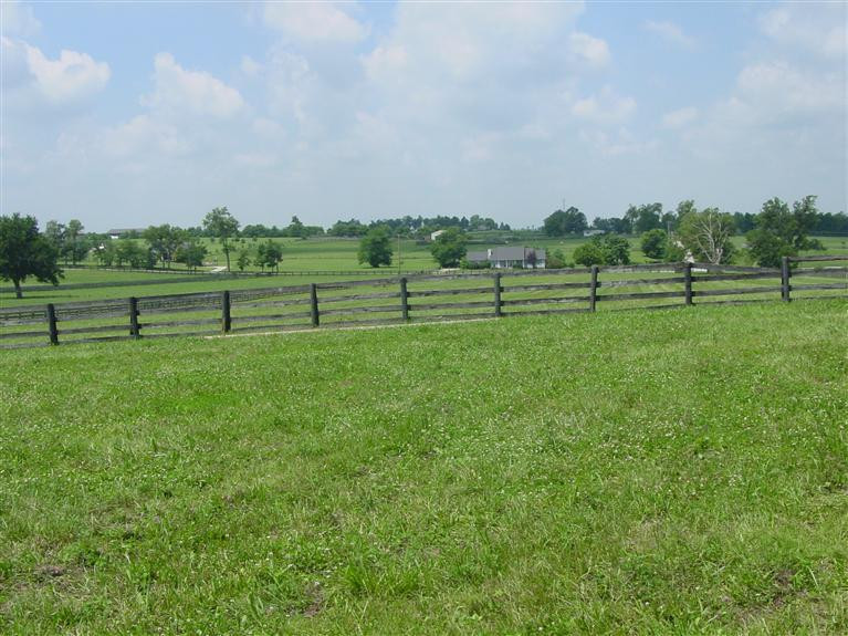 1501 Bethlehem Road Paris, KY 40361 - Photo 1 of 11 Photo 1