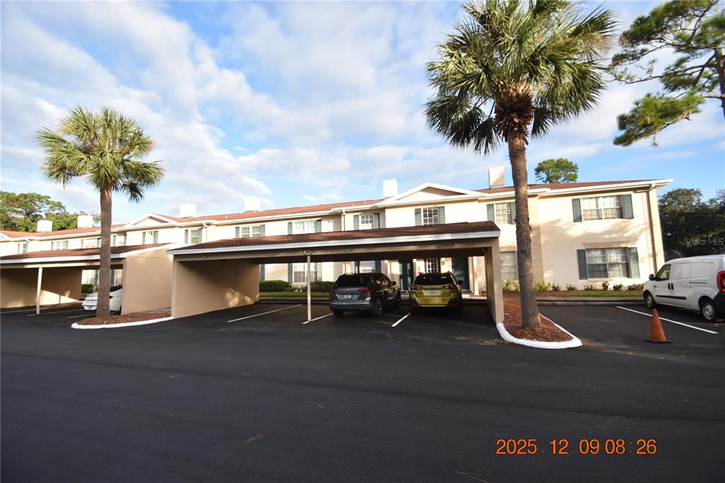 3402 Latania Drive, Unit 316 Tampa, FL 33618 - Photo 24 of 36 a view of swimming pool with a table and chairs
