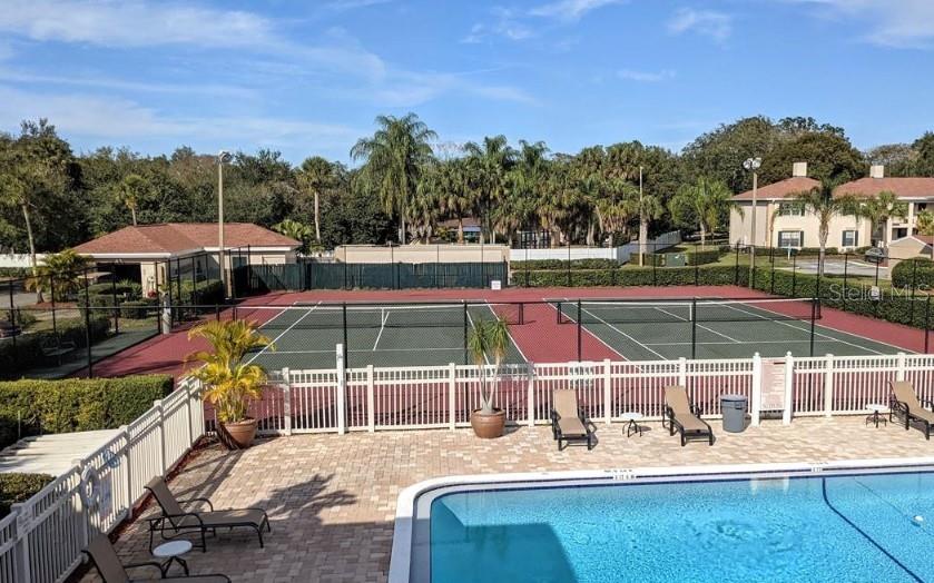 3402 Latania Drive, Unit 316 Tampa, FL 33618 - Photo 36 of 36 a view of a swimming pool with a patio