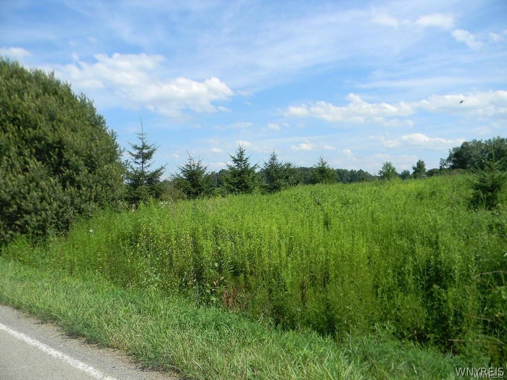 0 Ketchum Road Lawtons, NY 14091 - Photo 1 of 1 Gallery Image 1