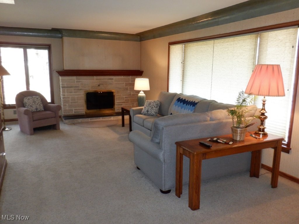 1203 Old Rockside Road Cleveland, OH 44134 - Photo 9 of 50