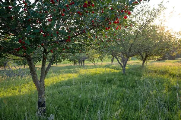 $1,275,000 | 25984 Outer Road, Rock Port, MO 64482