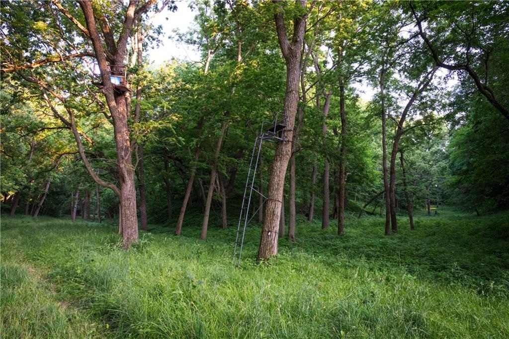 25984 Outer Road Rock Port, MO 64482 - Photo 29 of 70