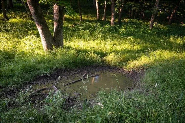 $1,390,000 | 25984 Outer Road, Rock Port, MO 64482