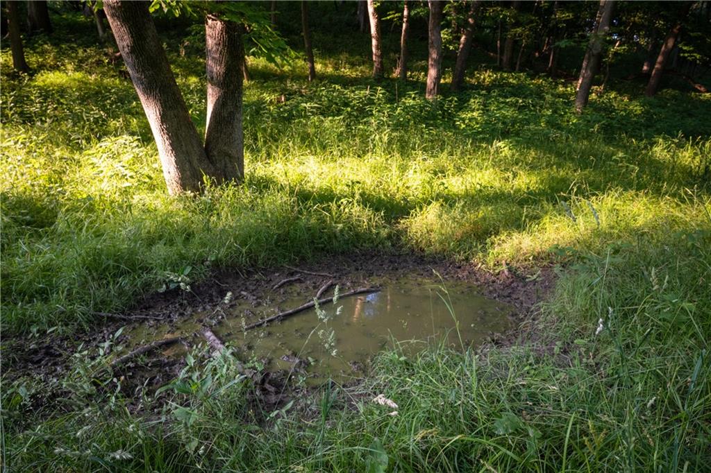 25984 Outer Road Rock Port, MO 64482 - Photo 30 of 70