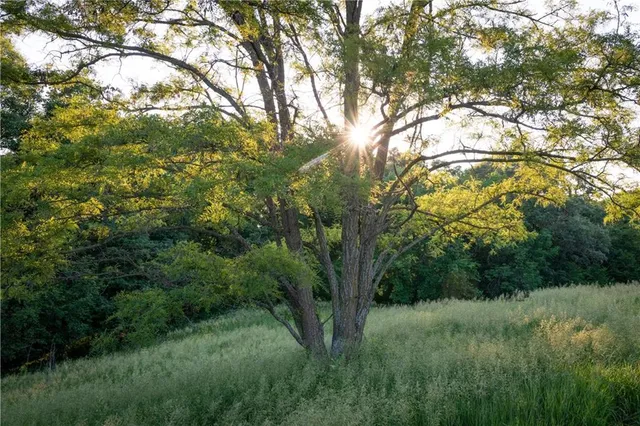 $1,390,000 | 25984 Outer Road, Rock Port, MO 64482