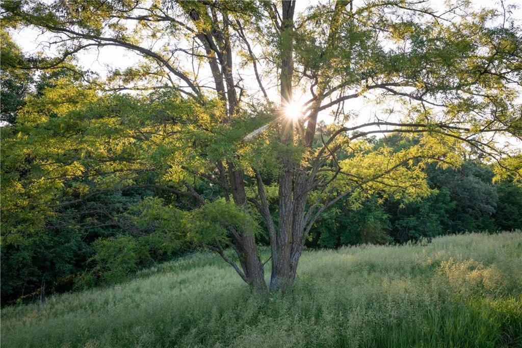 25984 Outer Road Rock Port, MO 64482 - Photo 34 of 70