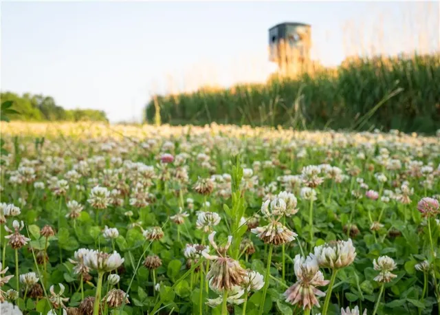 $1,390,000 | 25984 Outer Road, Rock Port, MO 64482