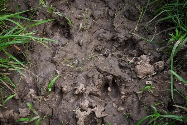 $1,275,000 | 25984 Outer Road, Rock Port, MO 64482