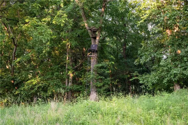 $1,275,000 | 25984 Outer Road, Rock Port, MO 64482