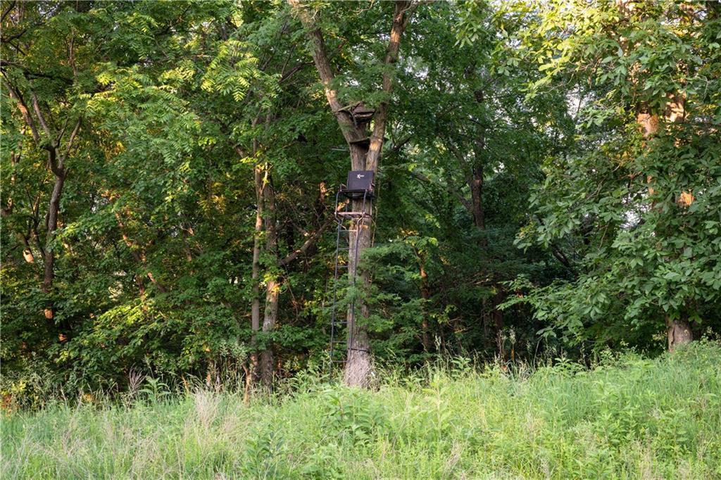 25984 Outer Road Rock Port, MO 64482 - Photo 37 of 70