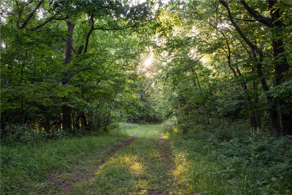 25984 Outer Road Rock Port, MO 64482 - Photo 38 of 70