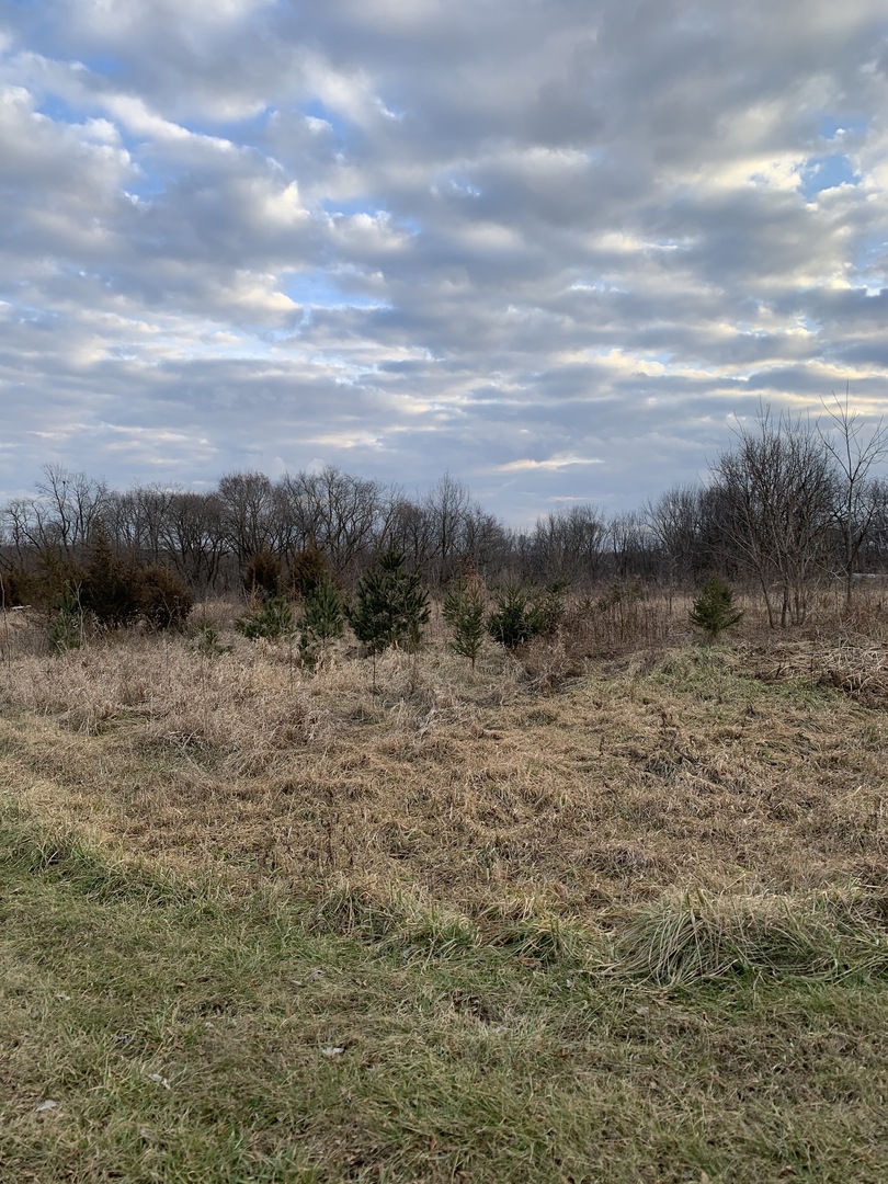 0 Henry Road Polo, IL 61064 - Photo 2 of 9