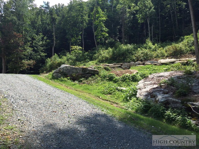 Southridge Road Banner Elk, NC 28604 - Photo 12 of 14 a view of a garden with pathway