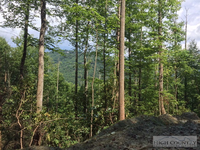 Southridge Road Banner Elk, NC 28604 - Photo 5 of 14 a view of forest