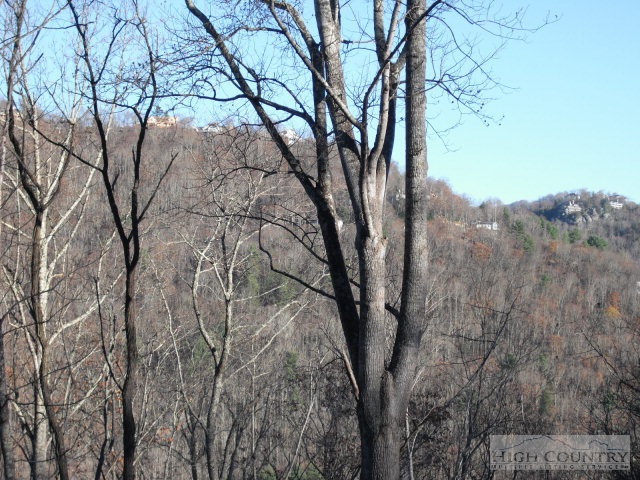 Southridge Road Banner Elk, NC 28604 - Photo 8 of 14 a view of a forest with trees