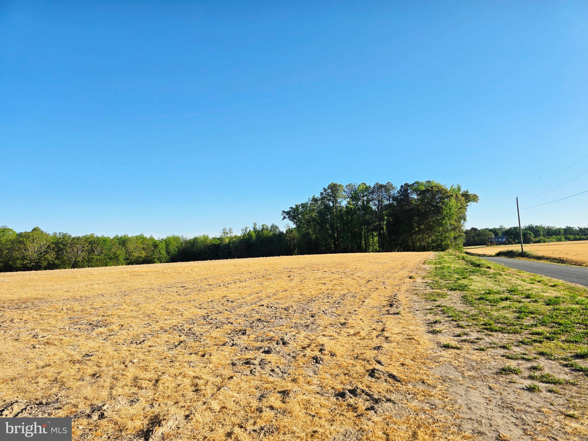 0 Sandy Lane Warsaw, VA 22572 - Photo 3 of 3