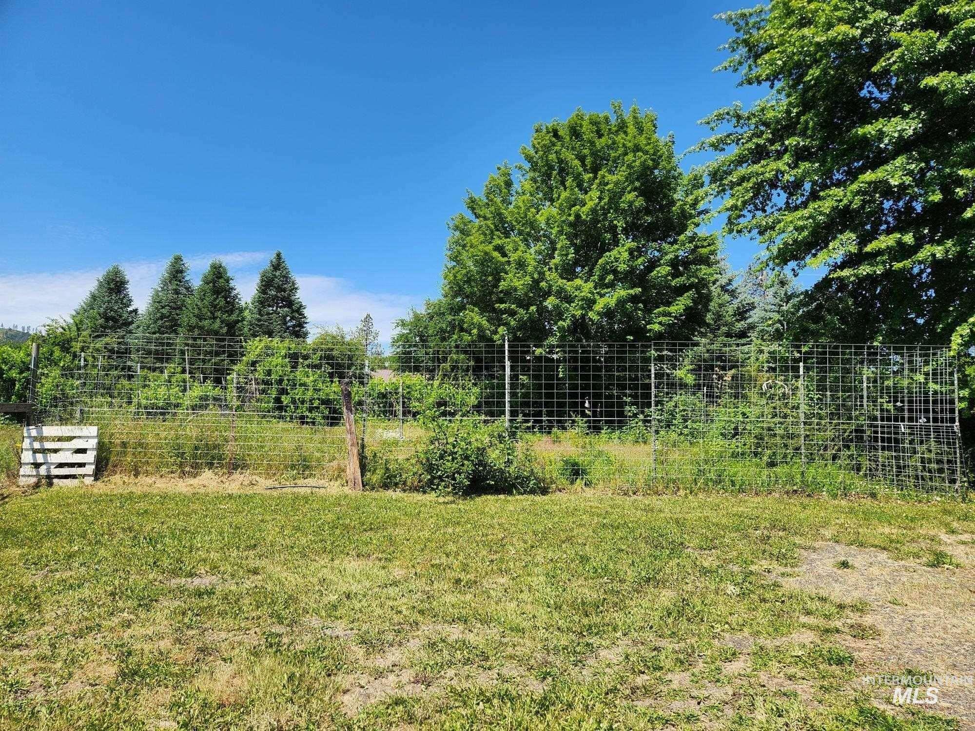 367 Woodland Road Kamiah, ID 83536 - Photo 42 of 45 View of yard