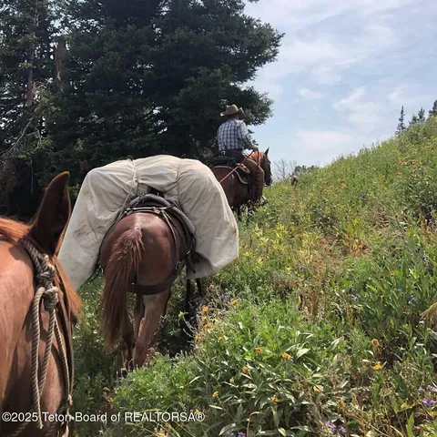 $2,999,000 | 807 Merna North Beaver Road, Daniel, WY 83115