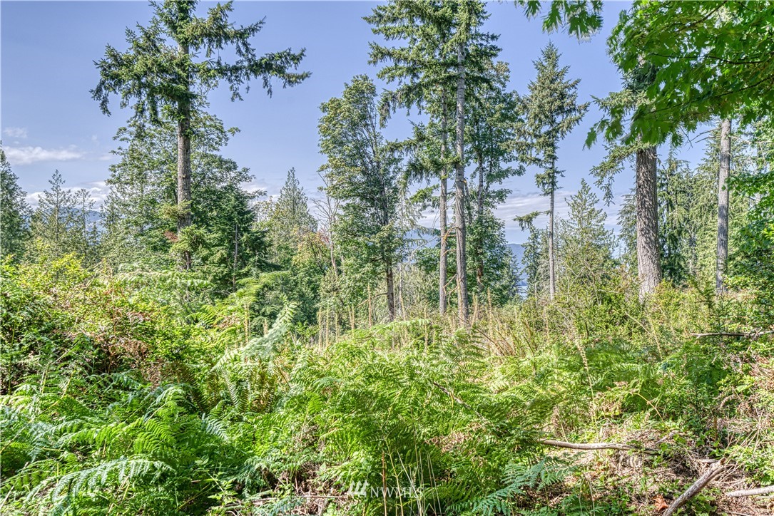 18554 Northwest Stavis Bay Road Seabeck, WA 98380 - Photo 36 of 37 Gallery Image 36