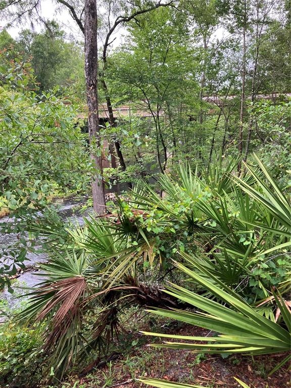 39001 Highway 575 Dade City, FL 33523 - Photo 35 of 41