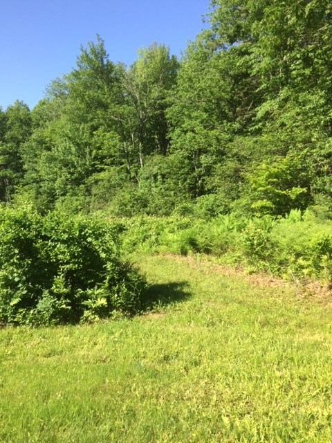 127 Hackett Hill Road Hooksett, NH 03106 - Photo 14 of 38 Gallery Image 14