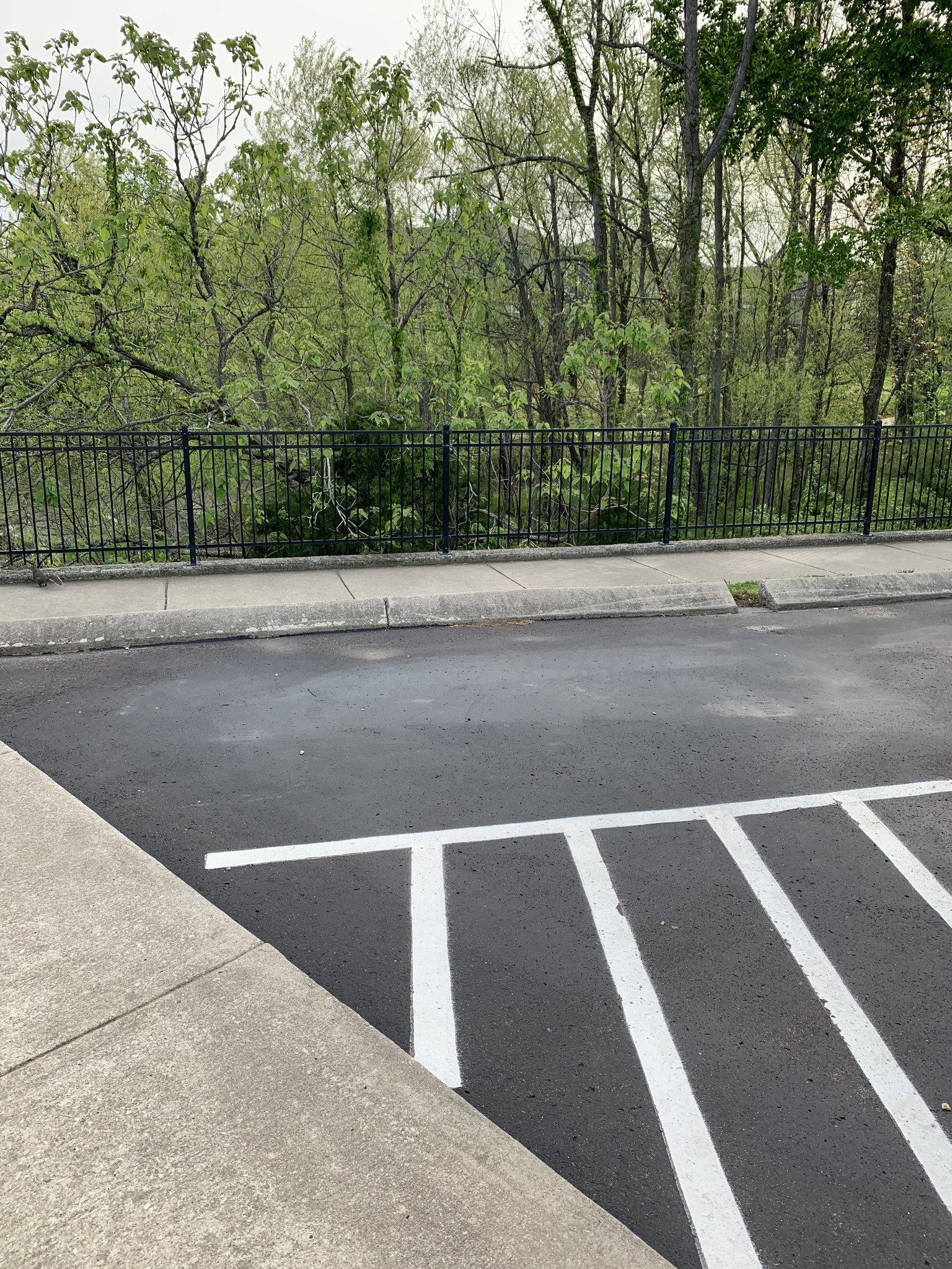 2015 Hemlock Drive Spring Hill, TN 37174 - Photo 20 of 22 a view of a street