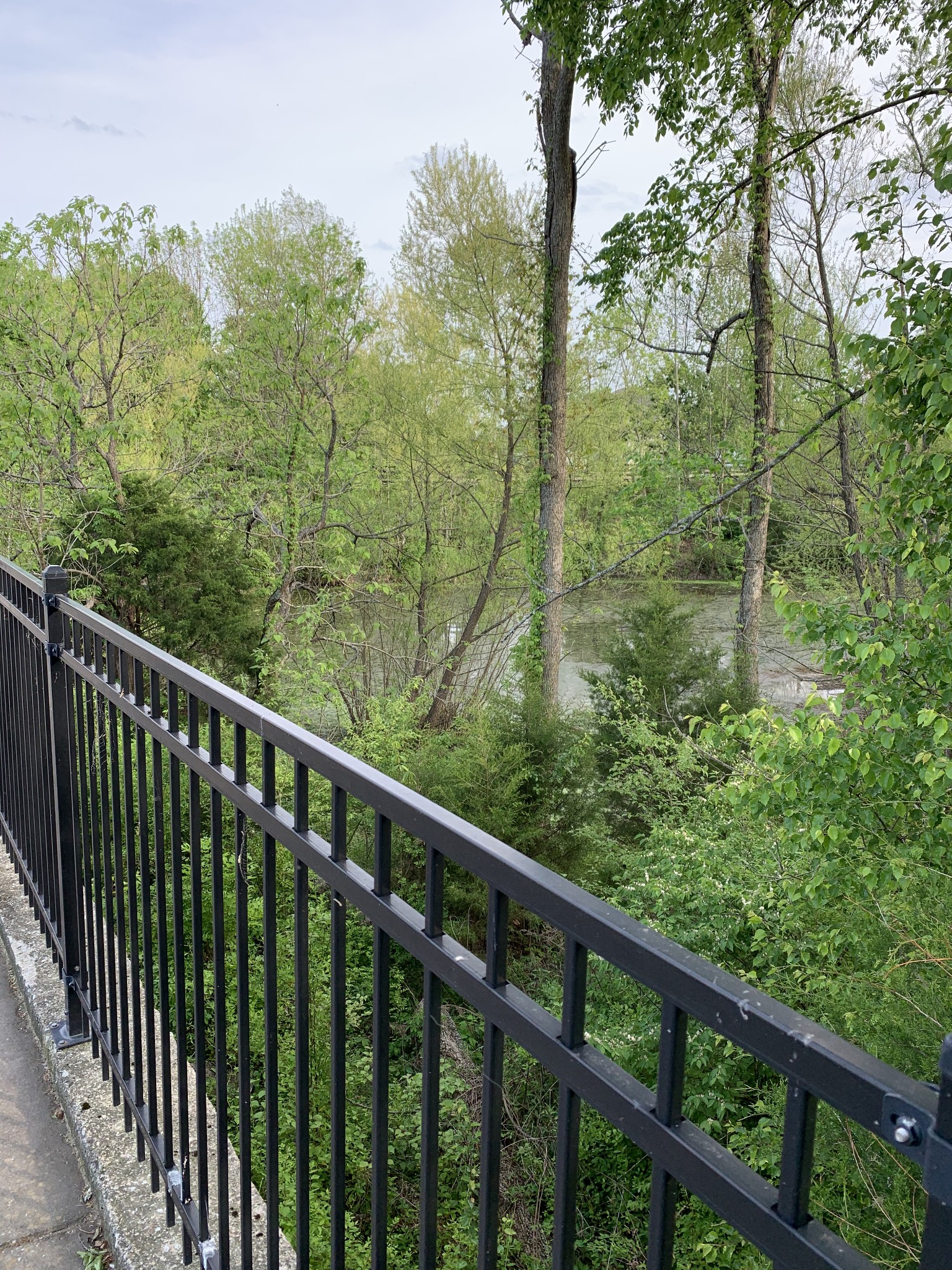 2015 Hemlock Drive Spring Hill, TN 37174 - Photo 22 of 22 a balcony with trees