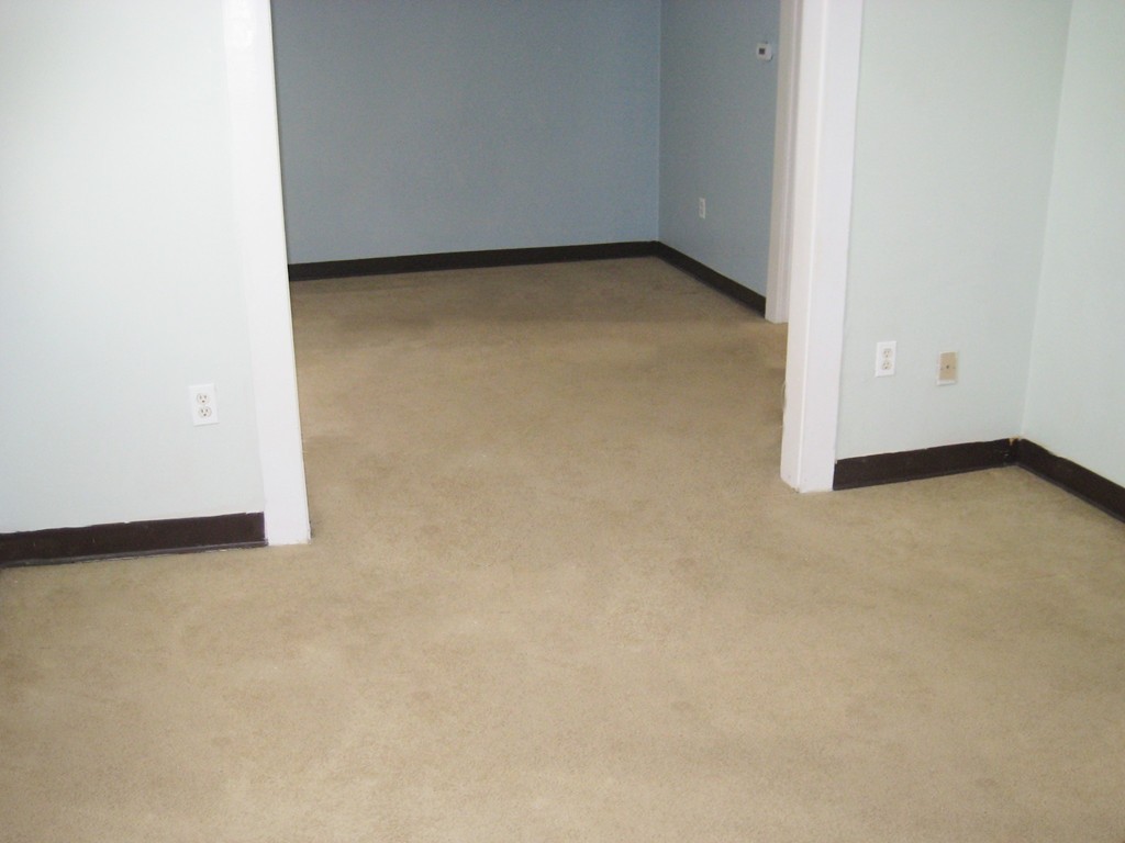 5 Denmark Street Dedham, MA 02026 - Photo 3 of 19 Gallery Image 3