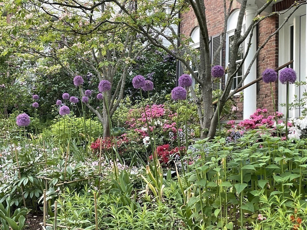 85 Stanton Road Brookline, MA 02445 - Photo 35 of 38 a view of a flower in a garden