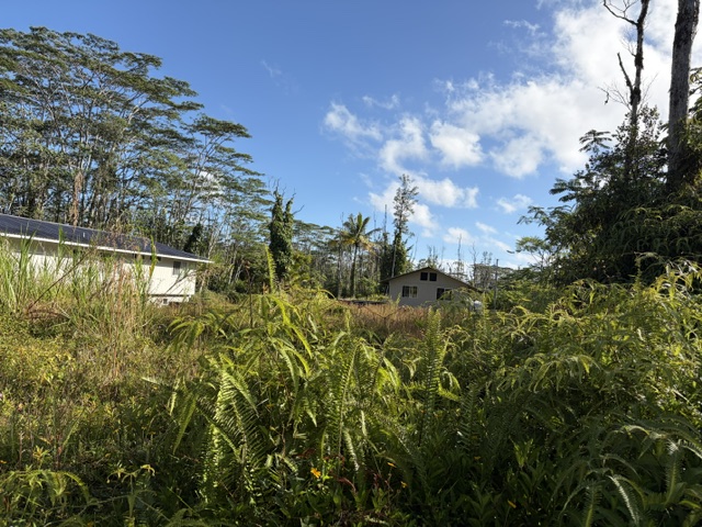879 Church Road Pahoa, HI 96778 - Photo 4 of 15