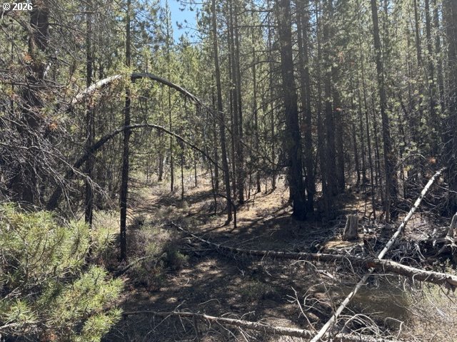 27 Surveyor Road Crescent Lake, OR 97733 - Photo 6 of 10