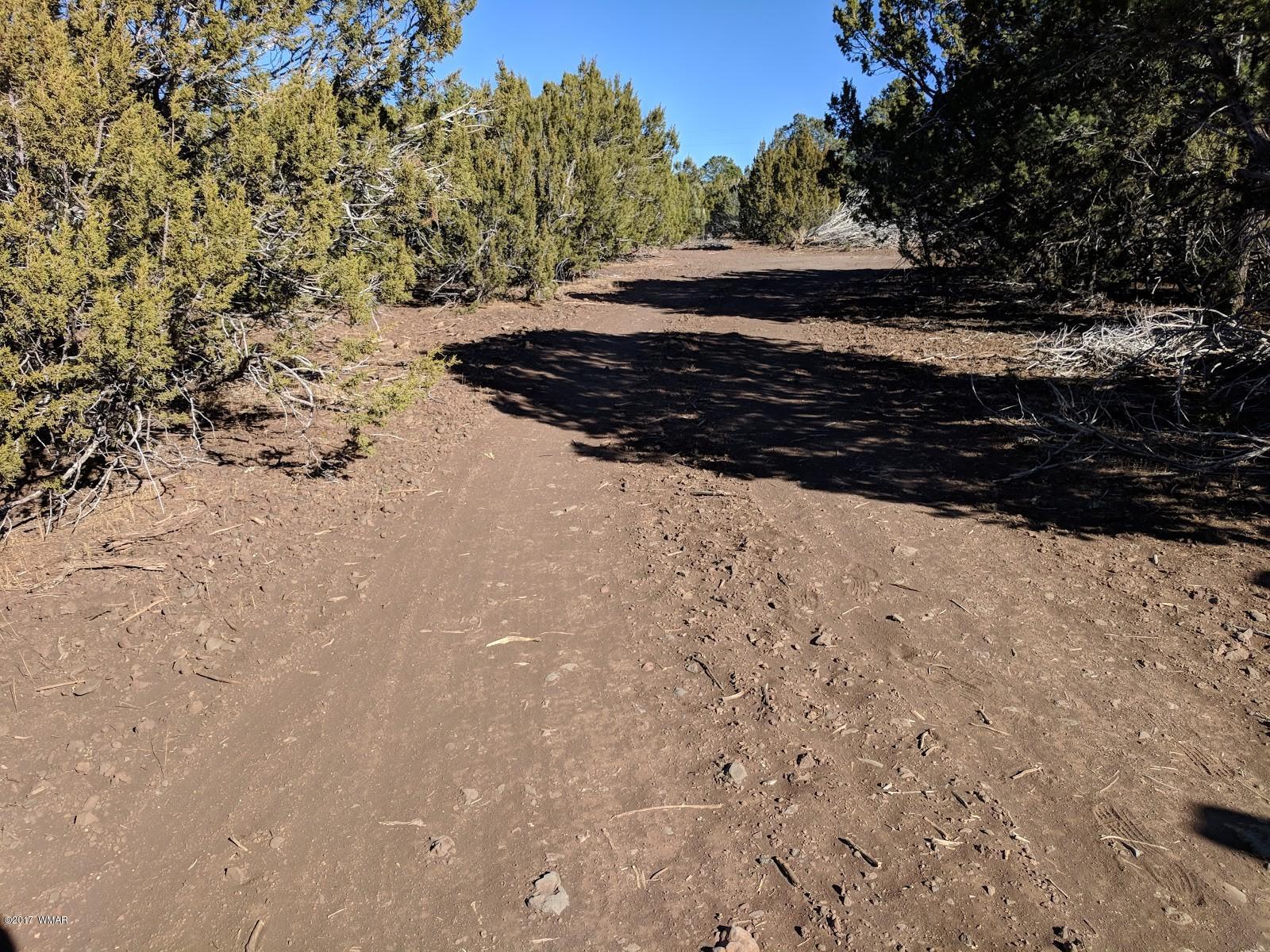 23 Acr Vernon, AZ 85940 - Photo 3 of 10 a view of a yard