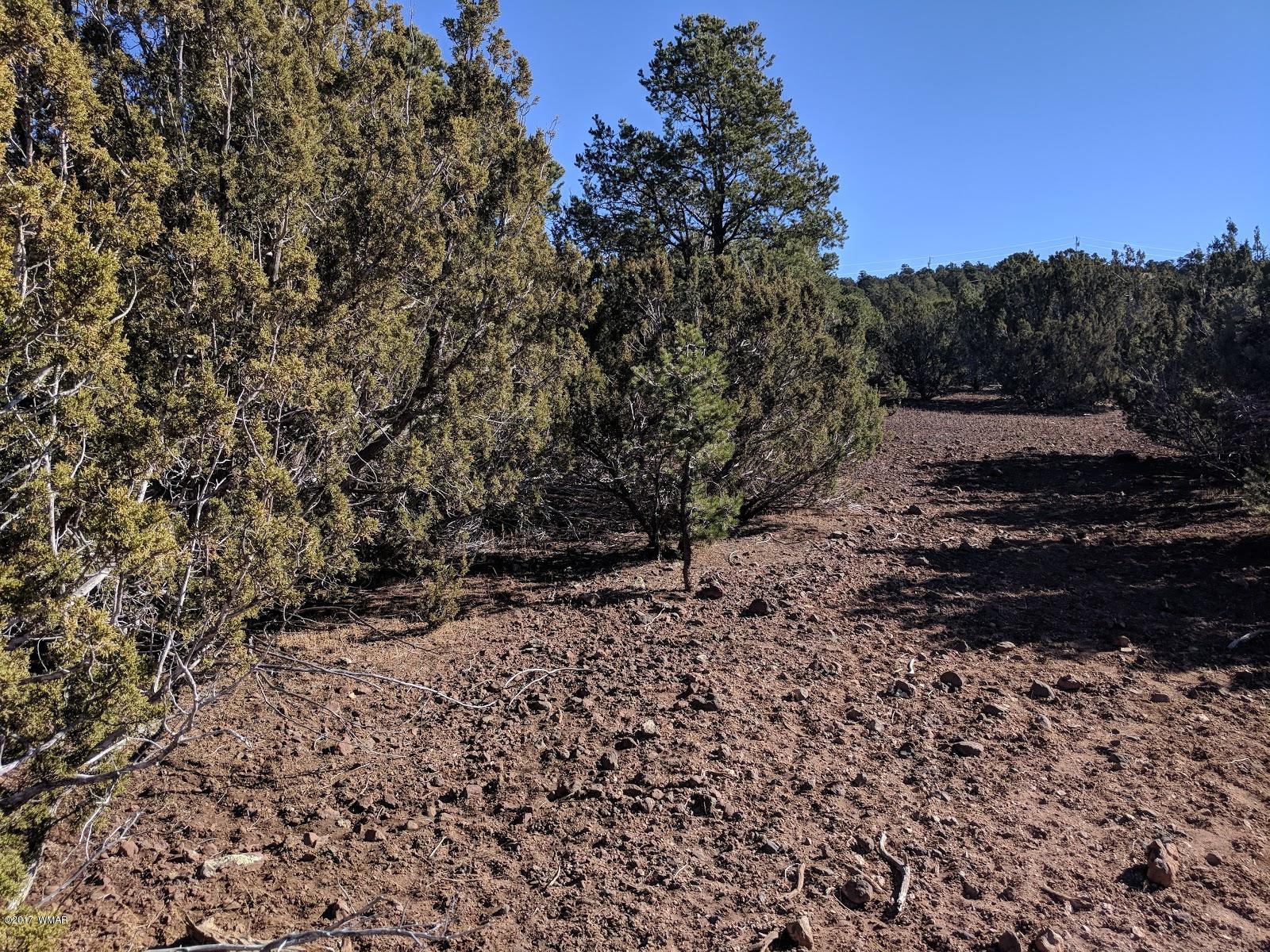 23 Acr Vernon, AZ 85940 - Photo 10 of 10 a view of a yard with trees