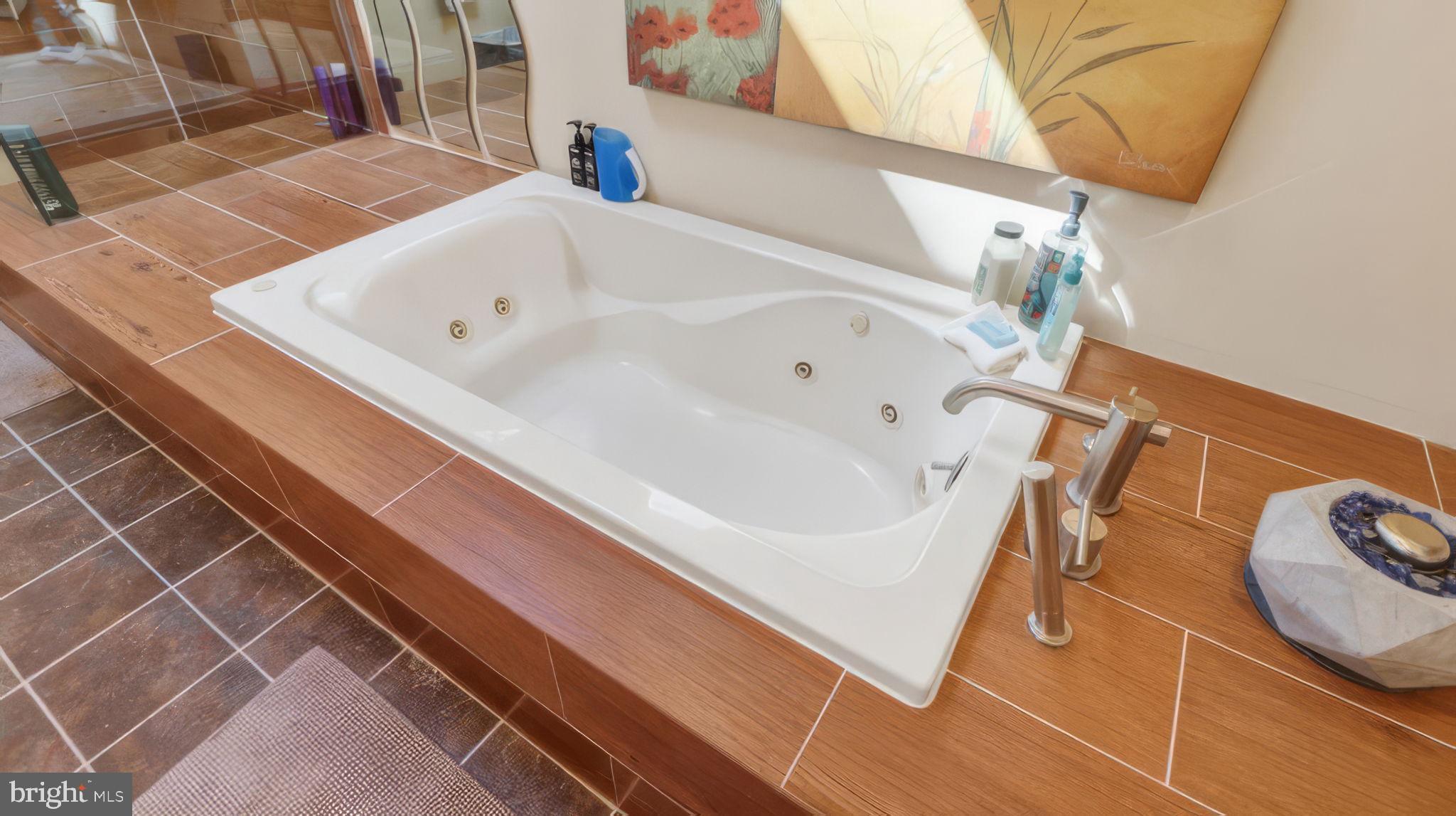 2185 Sams Creek Road Westminster, MD 21157 - Photo 17 of 56 Primary Bath Tub