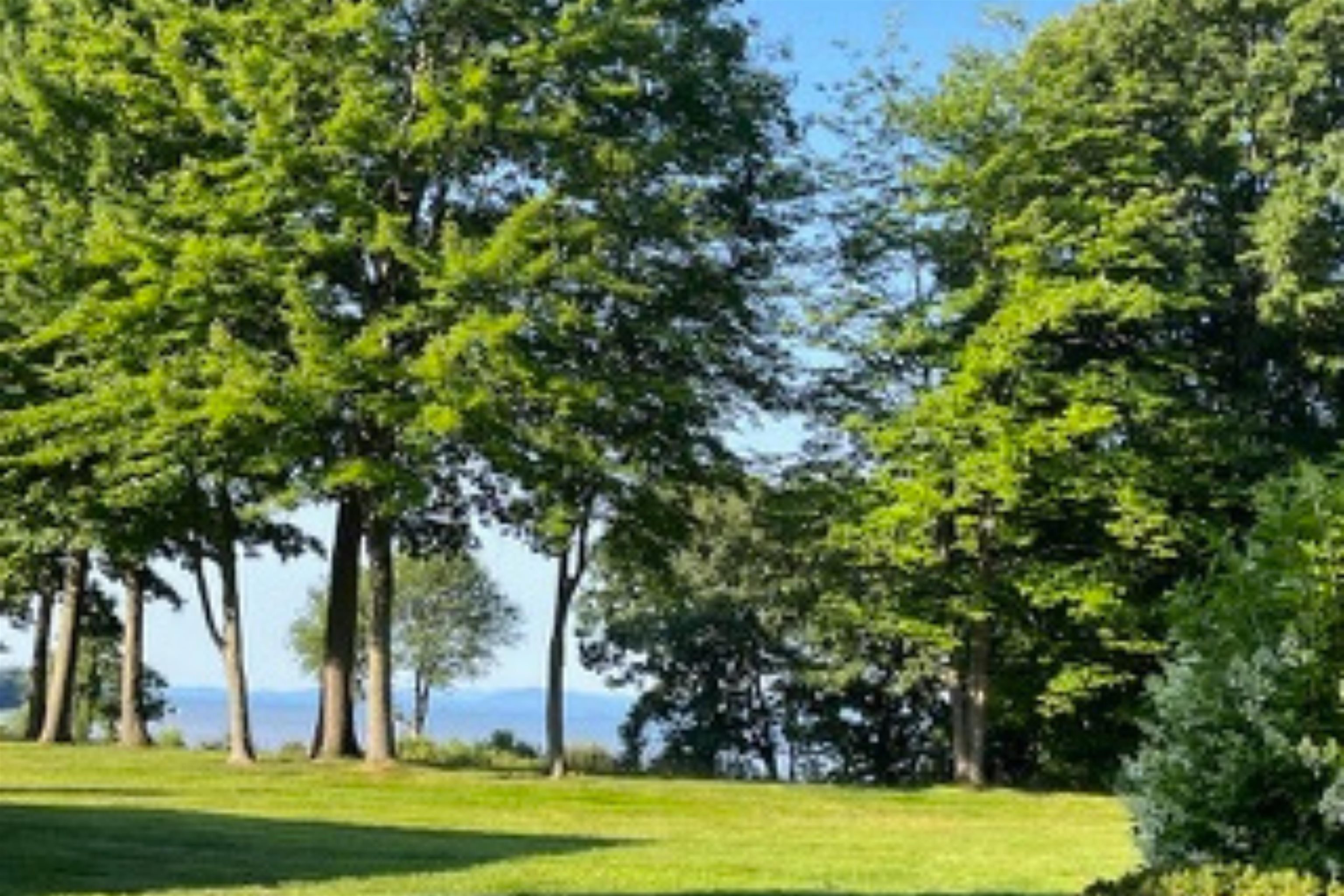 83 Claire Point Road Burlington, VT 05408 - Photo 22 of 40