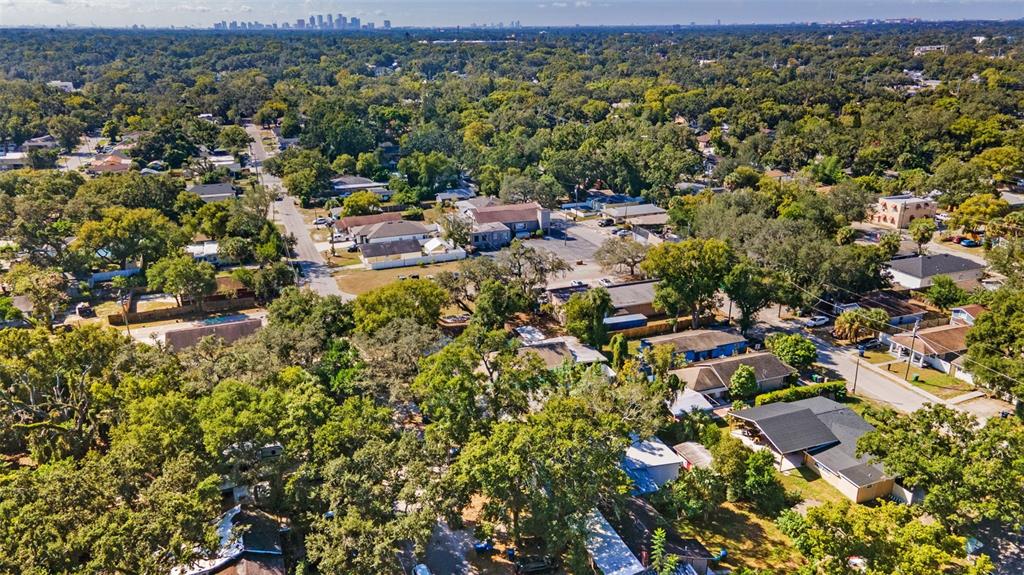 8210 North Klondyke Street, Unit 1 Tampa, FL 33604 - Photo 32 of 34 an aerial view of residential houses with outdoor space and trees