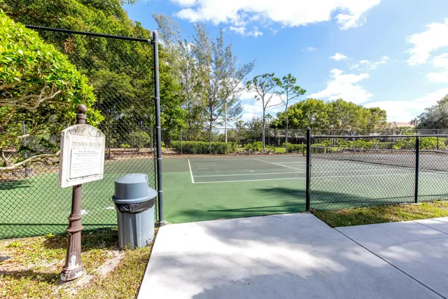 a view of park with palm trees