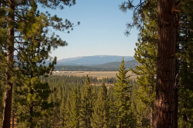 a view of outdoor space and garden