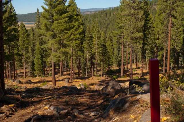 a view of a park with welcome board