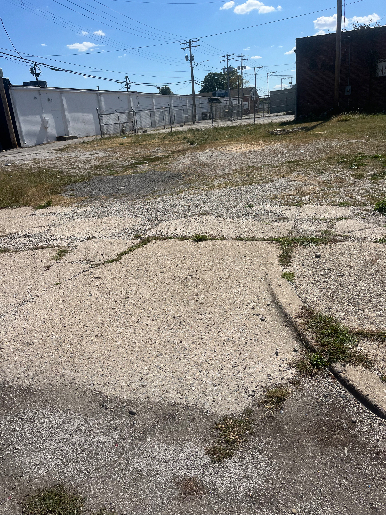 141 East Packard Street Decatur, IL 62523 - Photo 4 of 8 a view of a backyard of the house