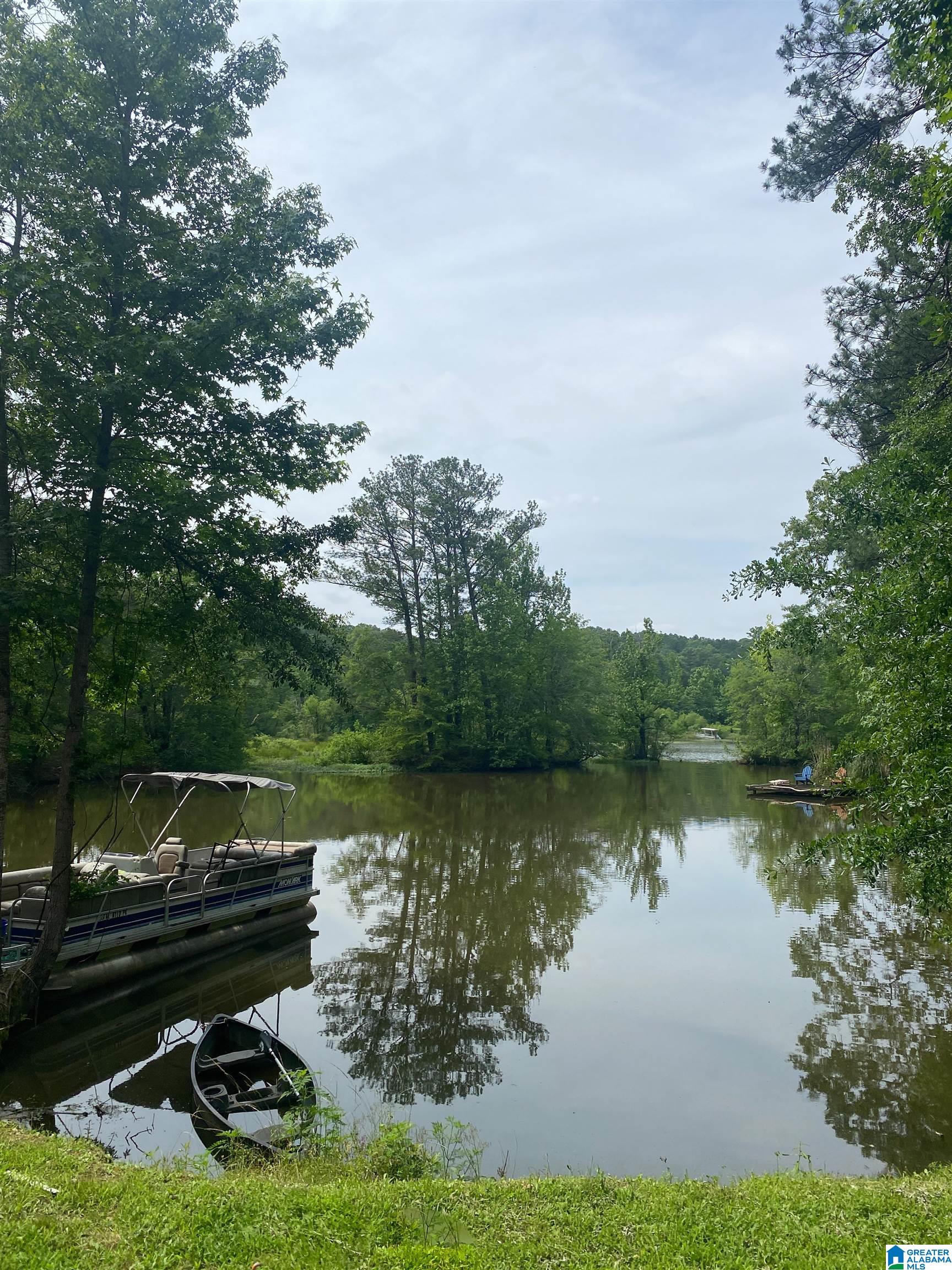 35 Stillwater Cove Riverside, AL 35135 - Photo 41 of 50