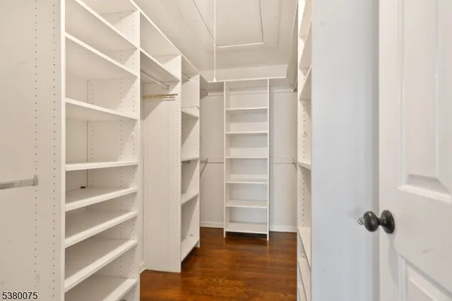 a view of walk in closet with empty racks