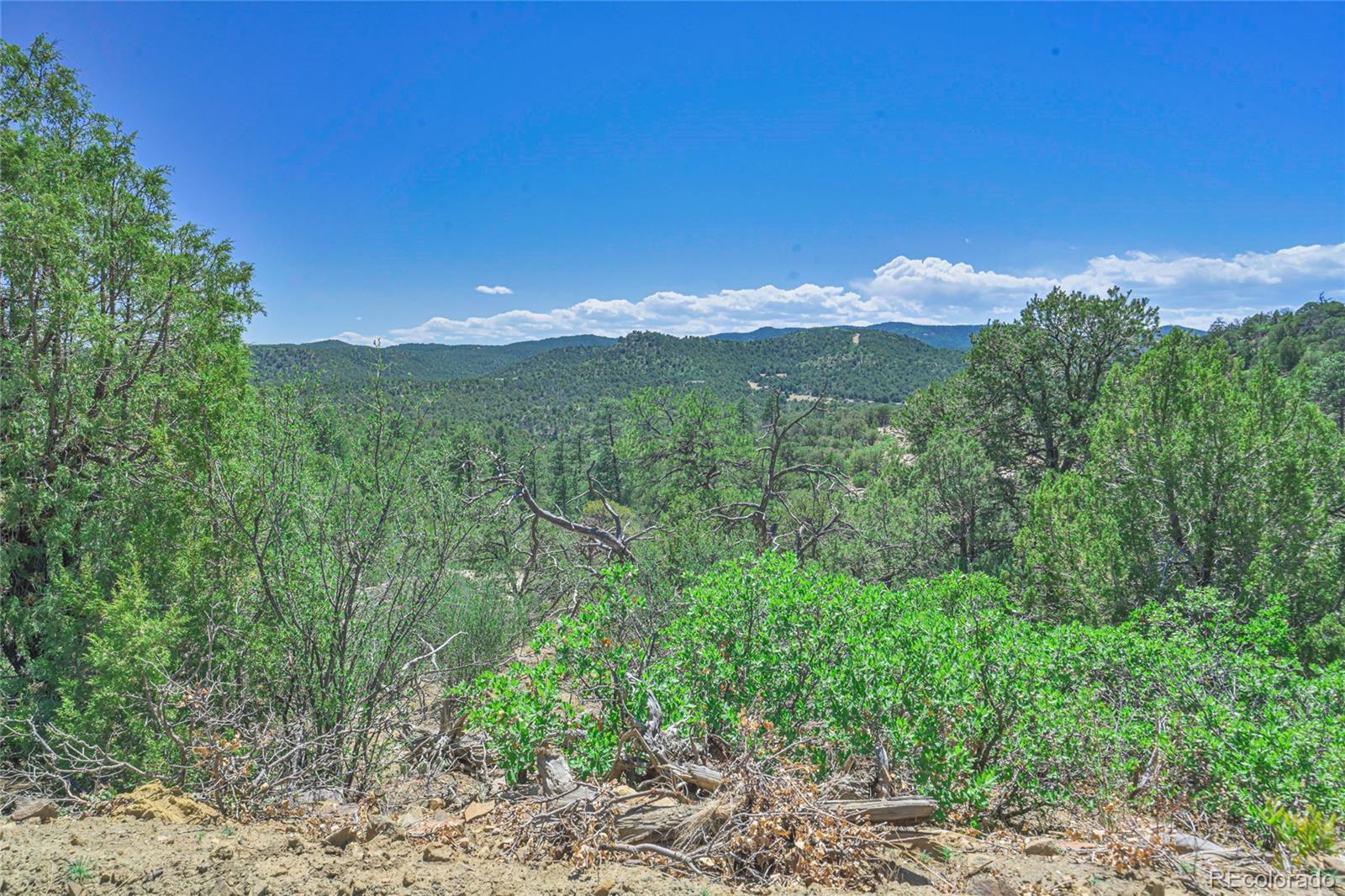 Fishers Peak Ranch Trinidad, CO 81082 - Photo 8 of 32